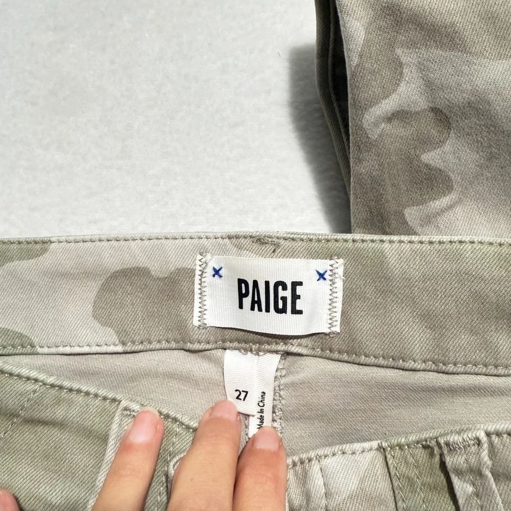 PAIGE features fits
